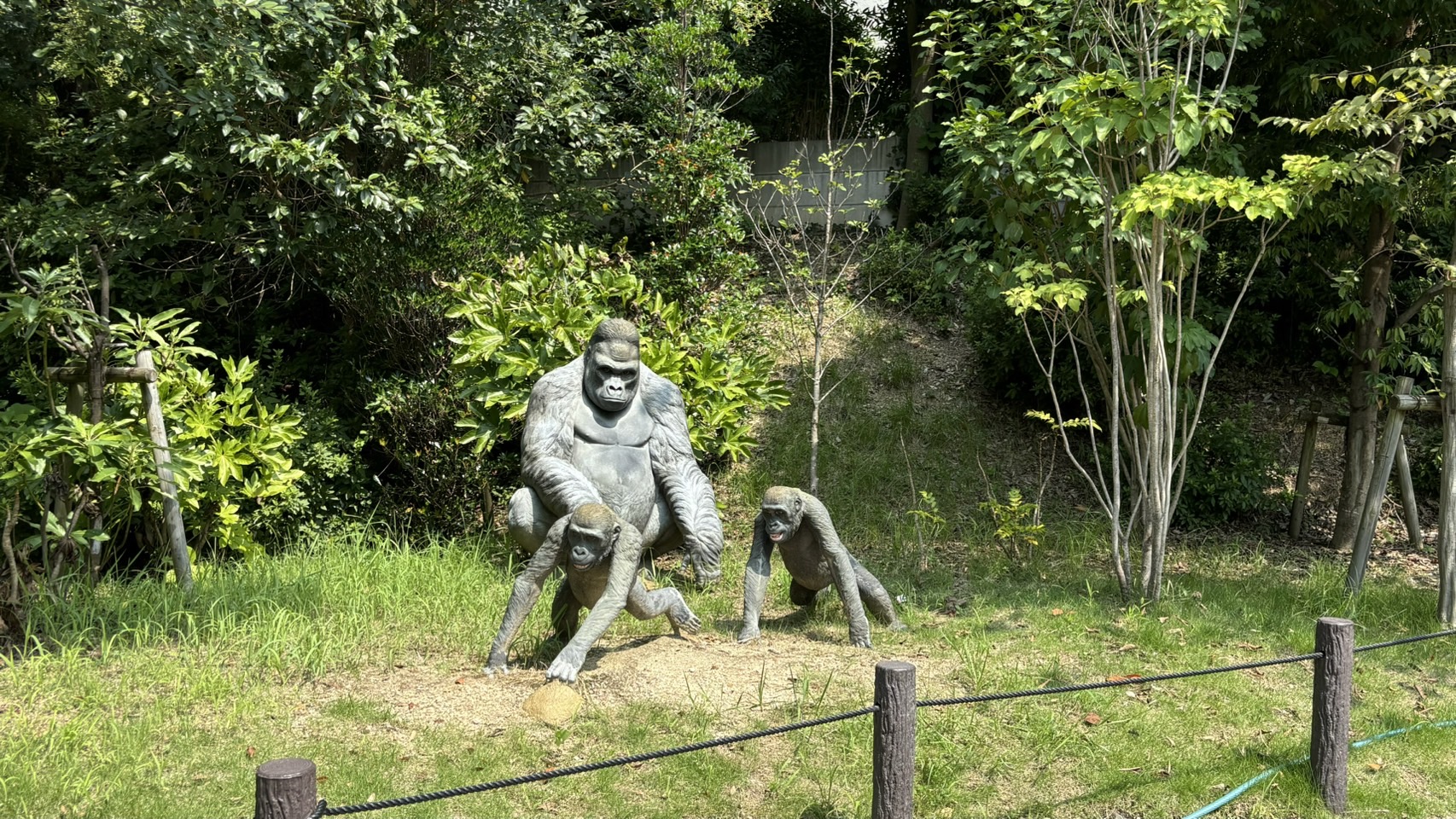 S__11403284_0.jpg